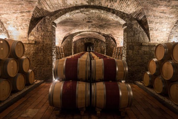 Tenuta dell´Ornellaia